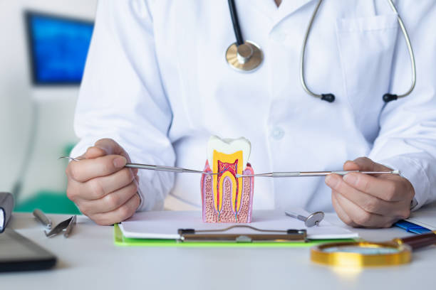 Best Emergency Denture Repair in Georgetown, DE
